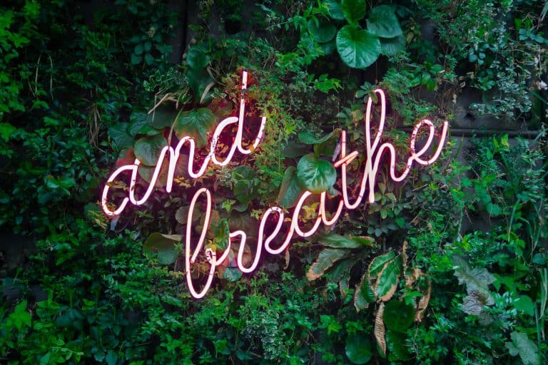 Green leaf wall with pink neon and breathe sign