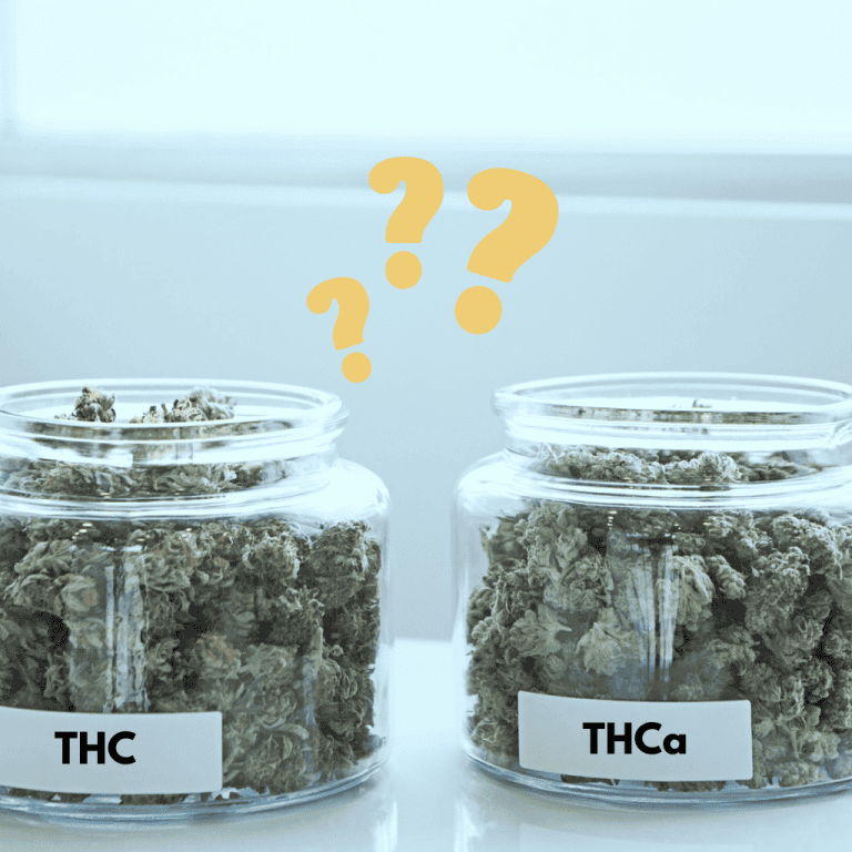 Jar of THCa flower next to jar of THC flower